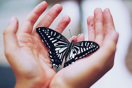 4. díl – PŘIJETÍ